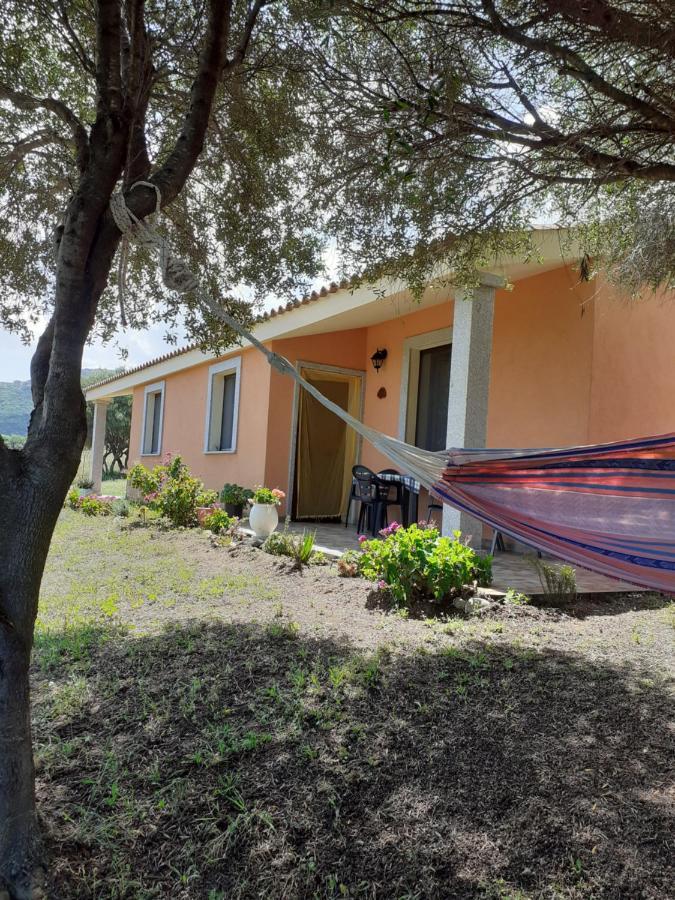 Agriturismo Gli Olivastri Appartamento Corbezzolo Con Piscina E Vista Mare,Climatizzatore,Wifi Aglientu Exterior foto